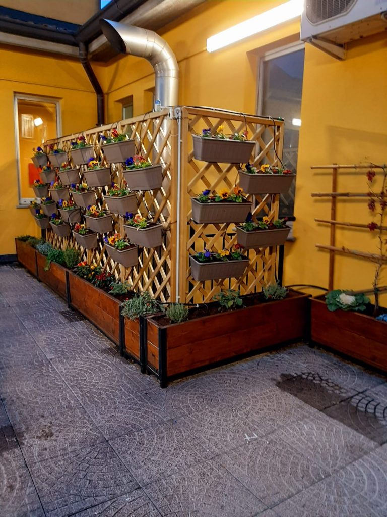 vista del graticcio con vasi di viole nel terrazzo interno della biblioteca, foto